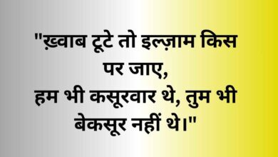 Heart Touching Shayari in Hindi | Dil Chu Jane Wali Shayari